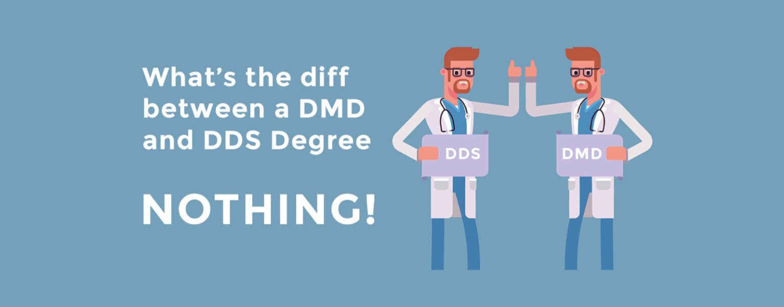 What is DDS and DMD in dentistry? 1 DENTIST IN CALIFORNIA 95035